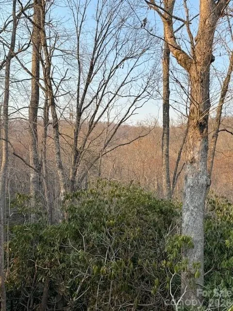 910 Morgan Hill Road Black Mountain, NC 28711