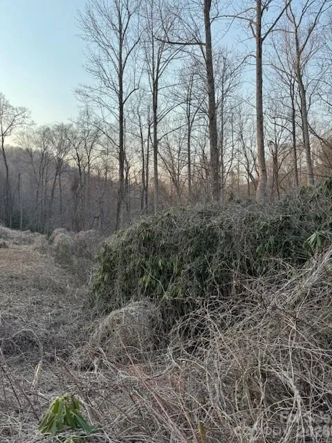 910 Morgan Hill Road Black Mountain, NC 28711