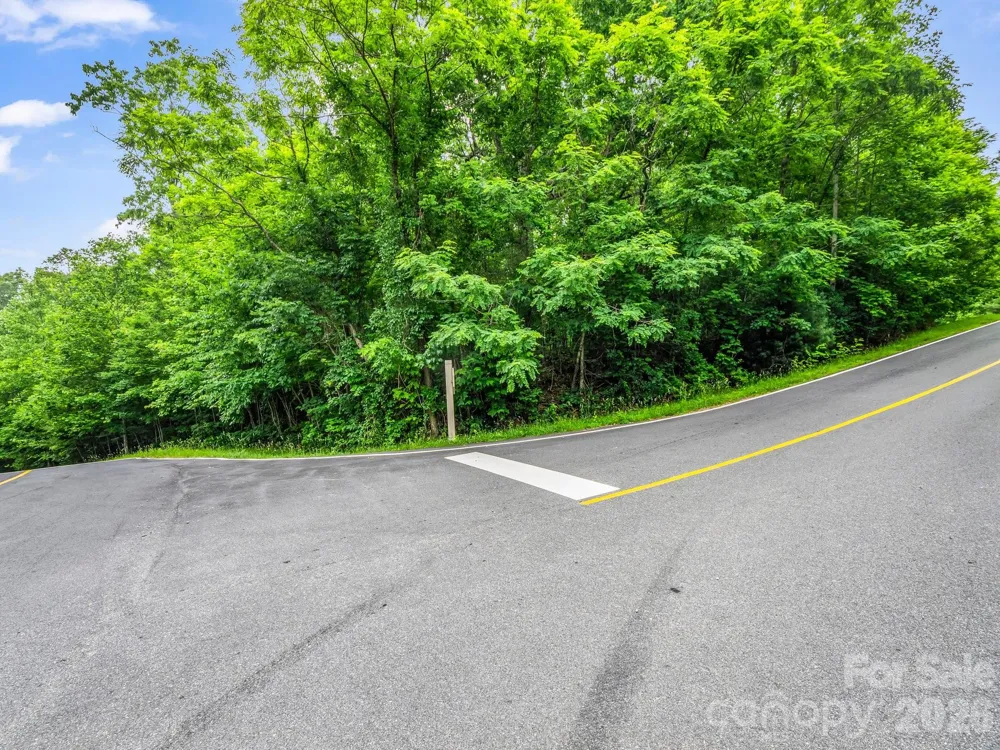 168 Tarnhill Drive Flat Rock, NC 28731