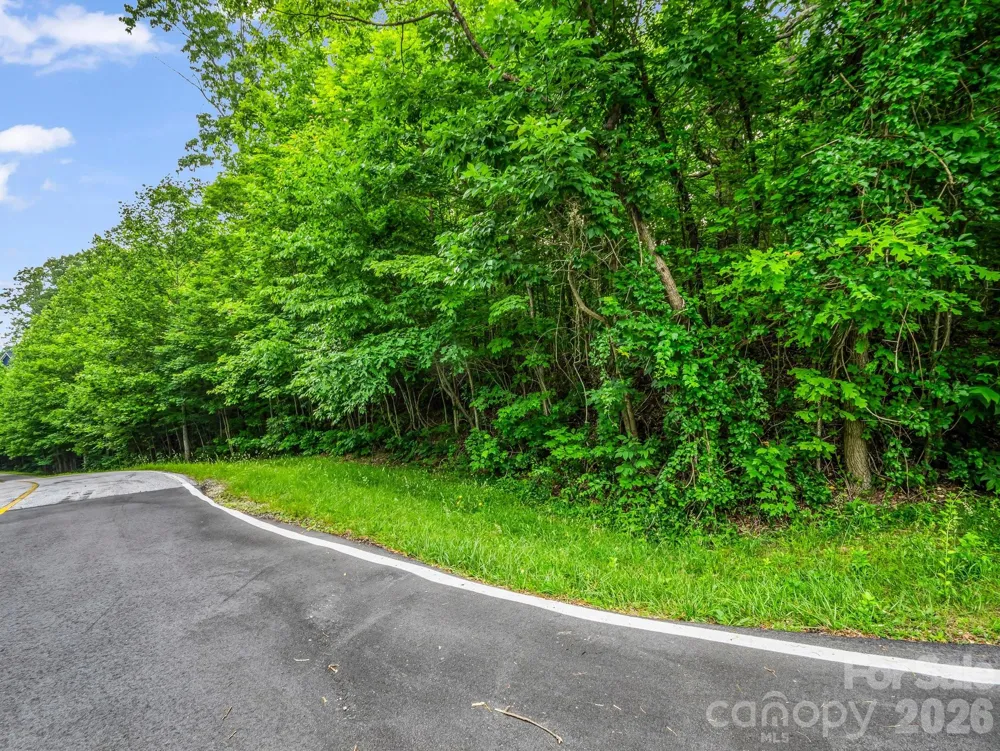 168 Tarnhill Drive Flat Rock, NC 28731