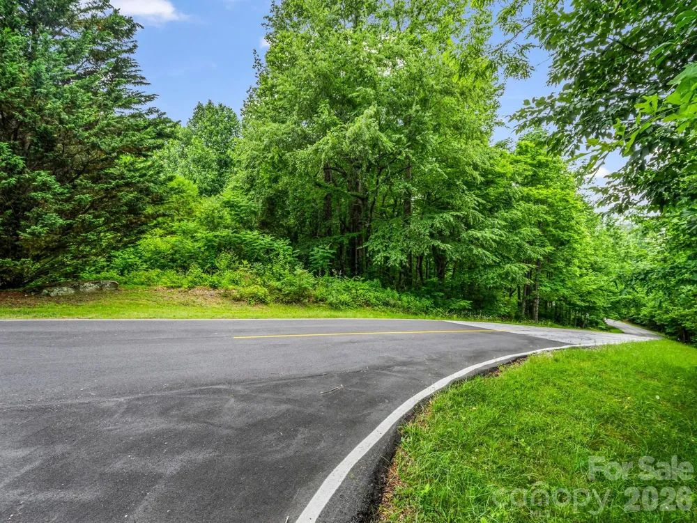 168 Tarnhill Drive Flat Rock, NC 28731