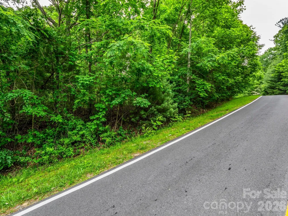 168 Tarnhill Drive Flat Rock, NC 28731