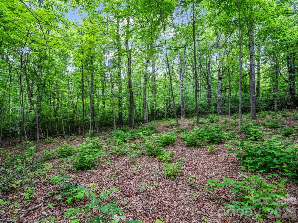 168 Tarnhill Drive Flat Rock, NC 28731