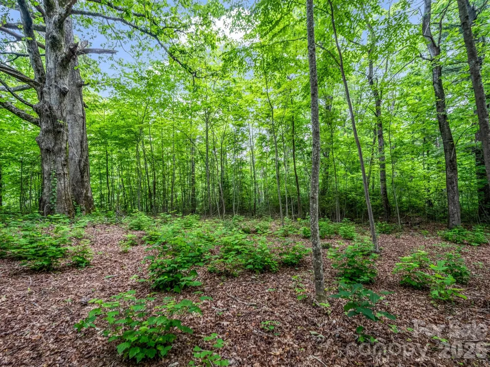 168 Tarnhill Drive Flat Rock, NC 28731