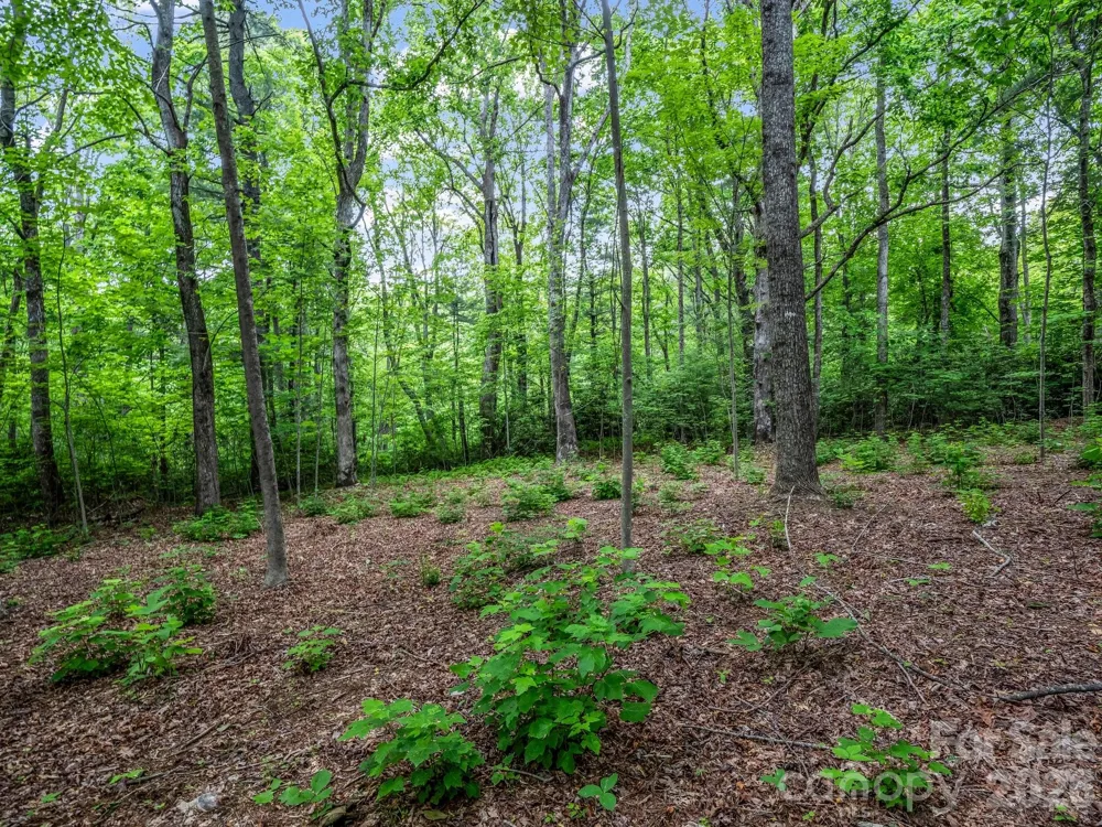 168 Tarnhill Drive Flat Rock, NC 28731