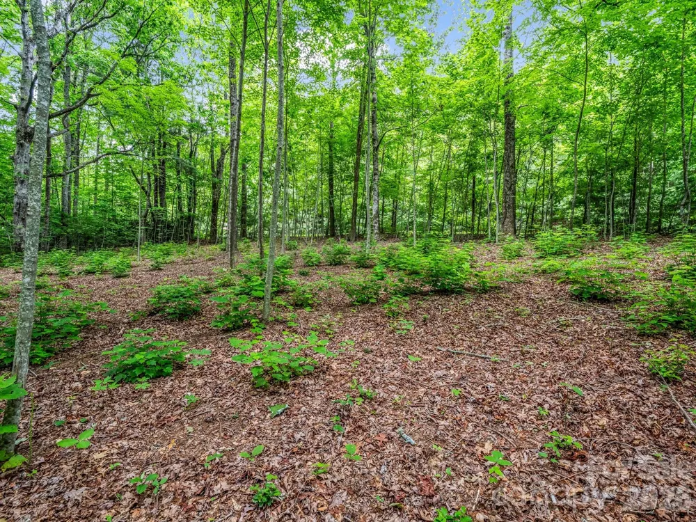 168 Tarnhill Drive Flat Rock, NC 28731