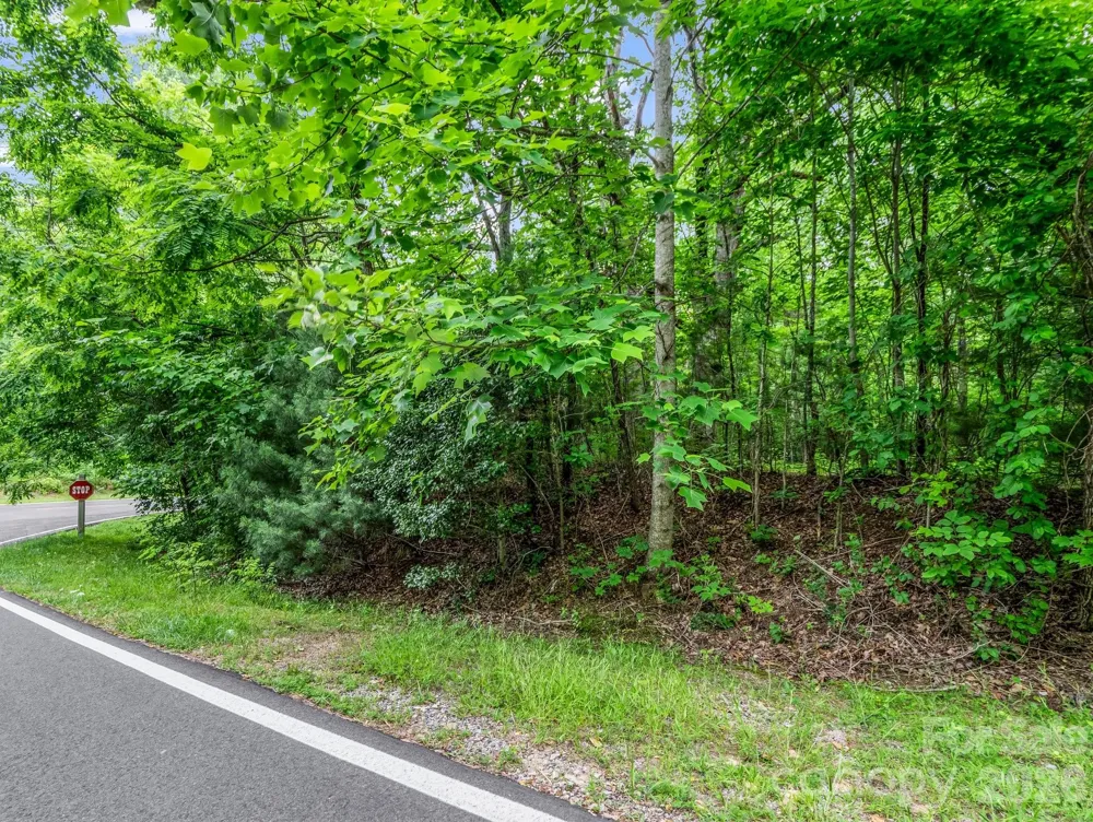 168 Tarnhill Drive Flat Rock, NC 28731