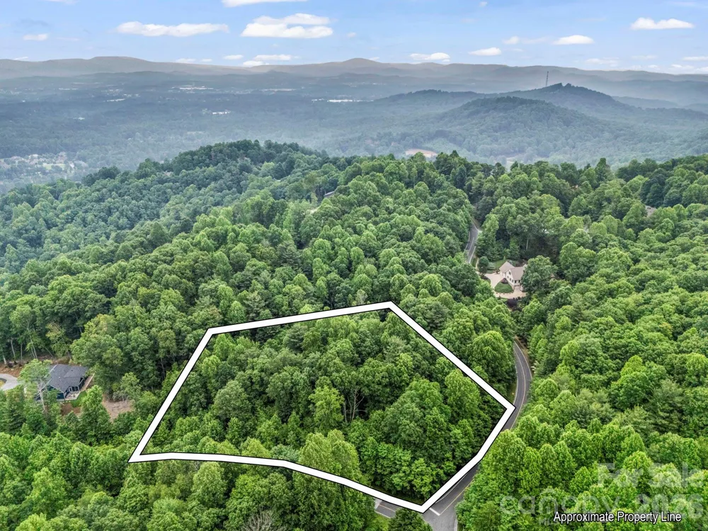 168 Tarnhill Drive Flat Rock, NC 28731