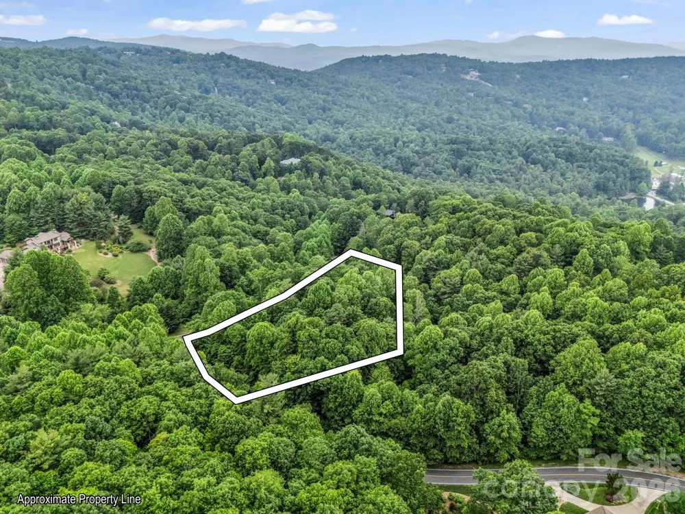 168 Tarnhill Drive Flat Rock, NC 28731
