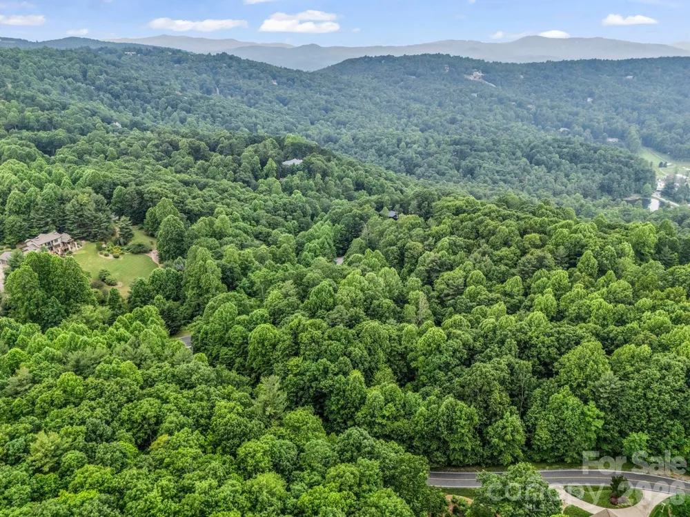 168 Tarnhill Drive Flat Rock, NC 28731