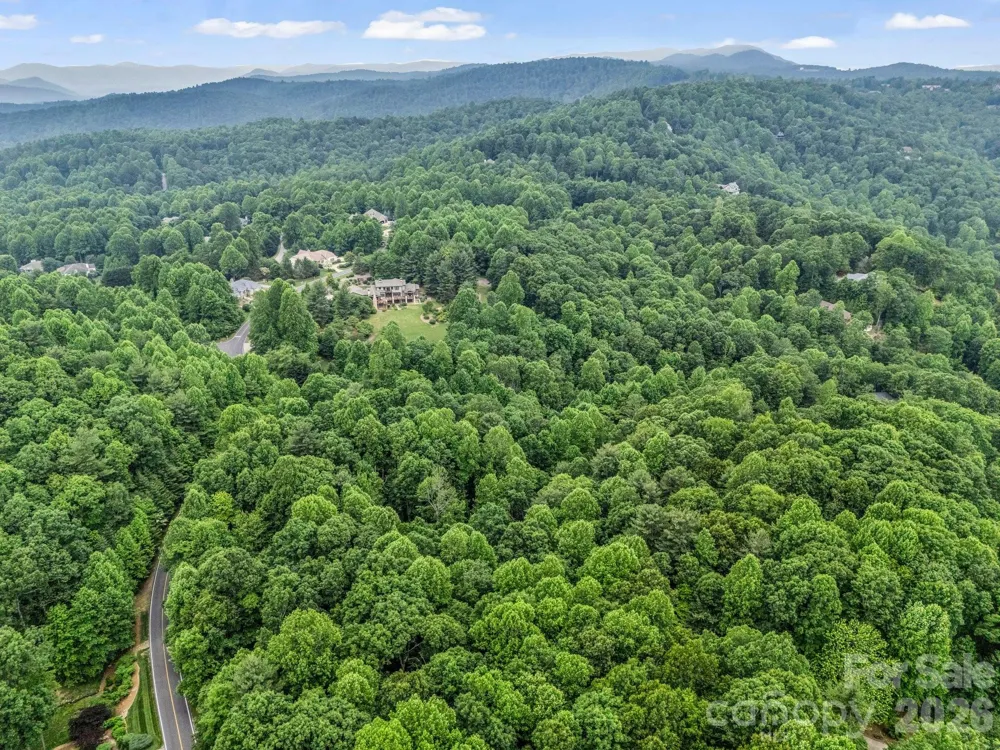 168 Tarnhill Drive Flat Rock, NC 28731