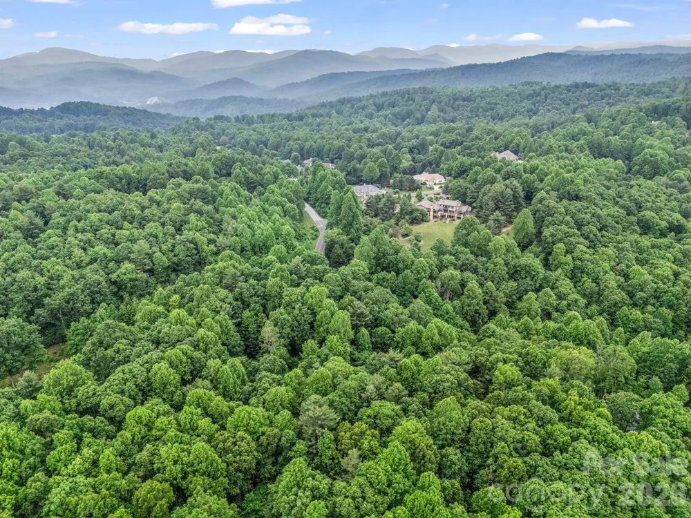 168 Tarnhill Drive Flat Rock, NC 28731