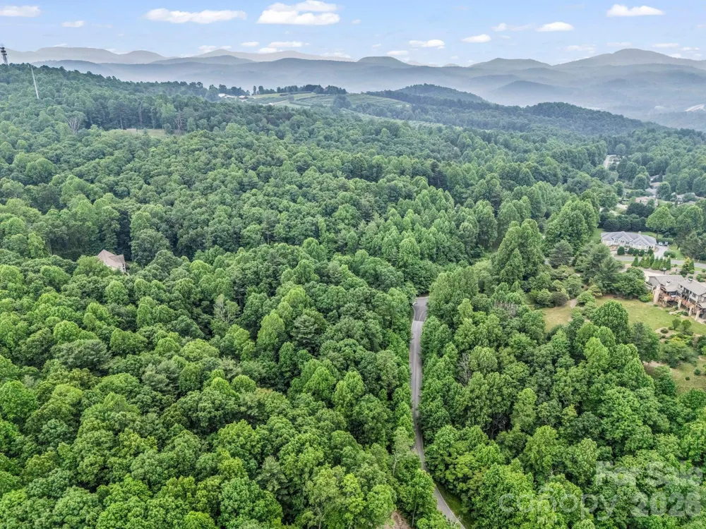 168 Tarnhill Drive Flat Rock, NC 28731