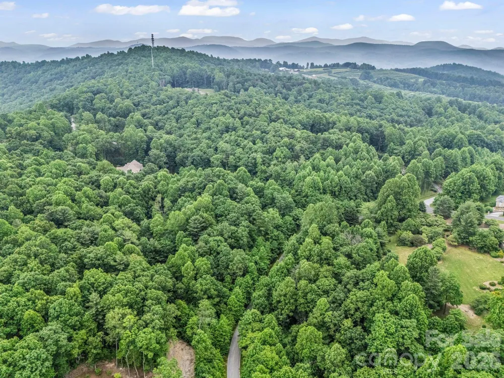 168 Tarnhill Drive Flat Rock, NC 28731