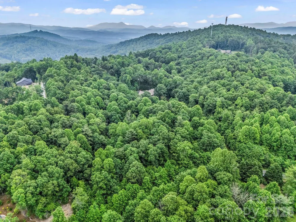 168 Tarnhill Drive Flat Rock, NC 28731