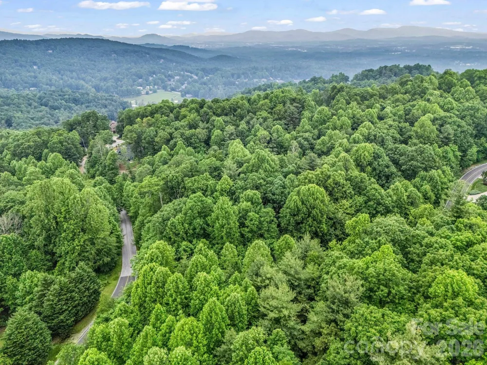 168 Tarnhill Drive Flat Rock, NC 28731