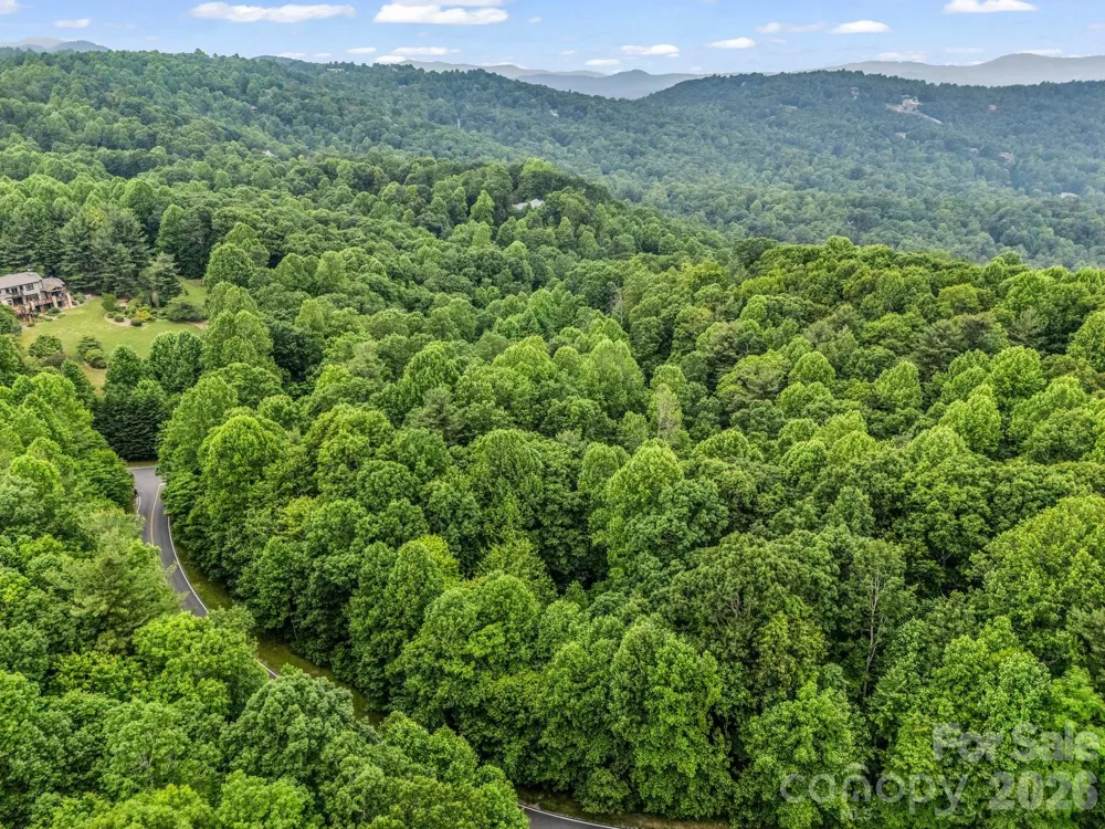 168 Tarnhill Drive Flat Rock, NC 28731