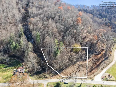 Tract 1: Lots 1 & 2 Fisher Creek Road