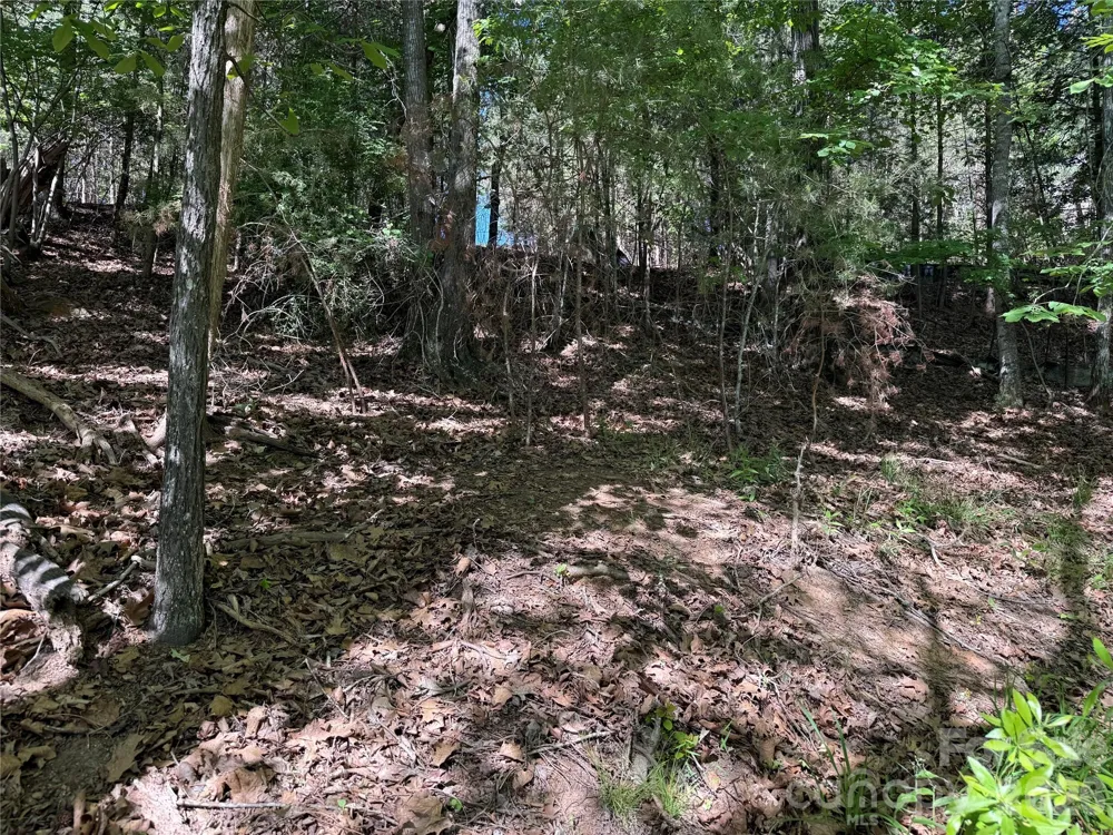 18524 Mainsail Court Lancaster, SC 29720
