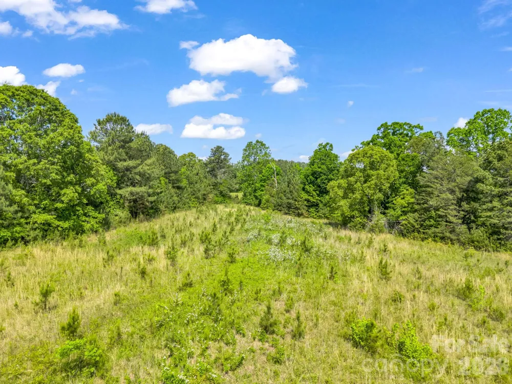 0 S Hwy 9 Highway Columbus, NC 28722