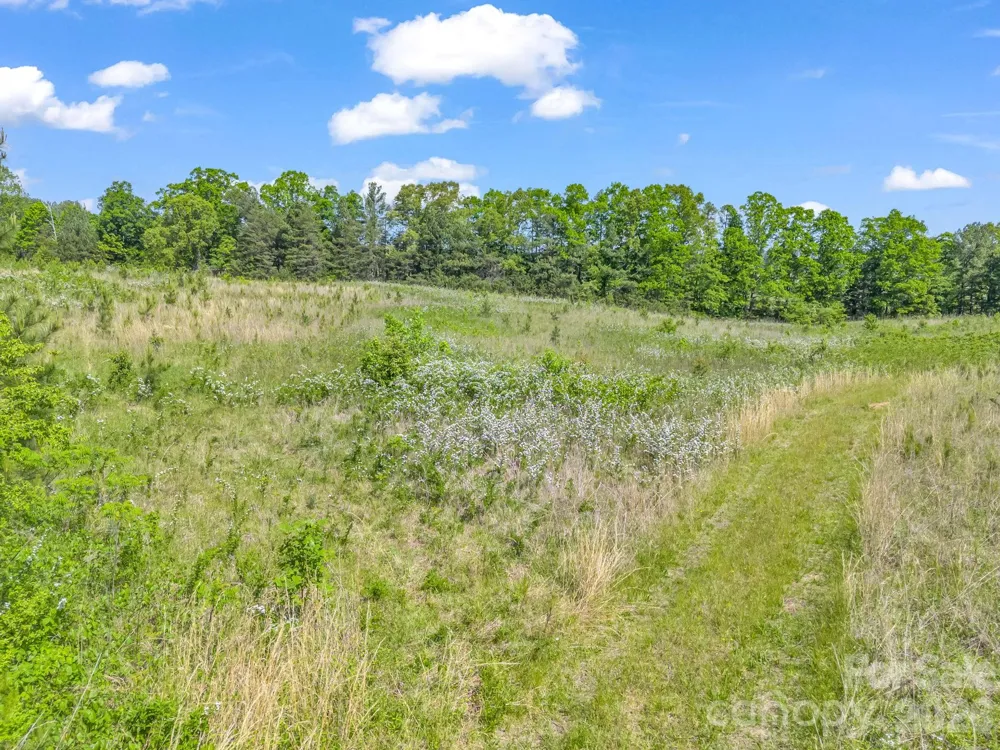 0 S Hwy 9 Highway Columbus, NC 28722