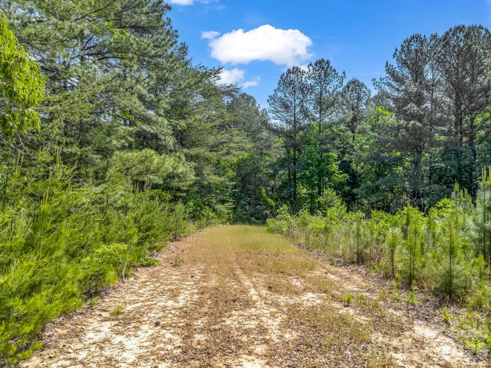 0 S Hwy 9 Highway Columbus, NC 28722