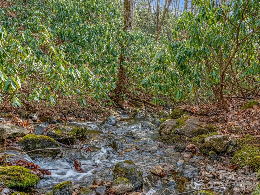 625 Cook Town Road Bakersville, NC 28705