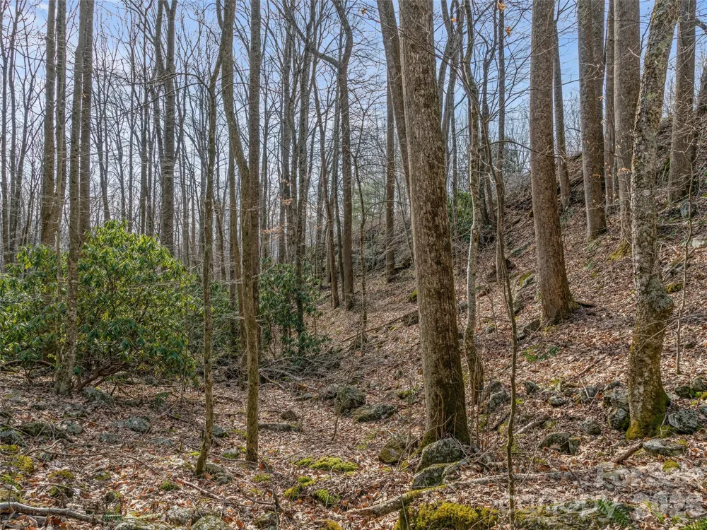 625 Cook Town Road Bakersville, NC 28705