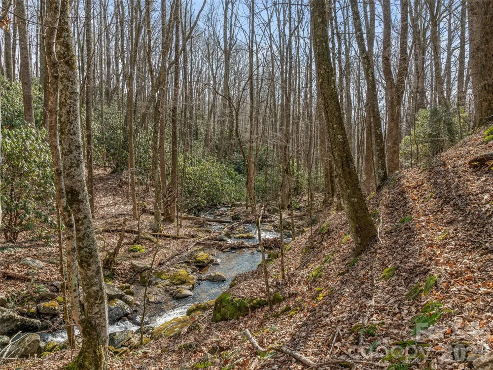 625 Cook Town Road Bakersville, NC 28705