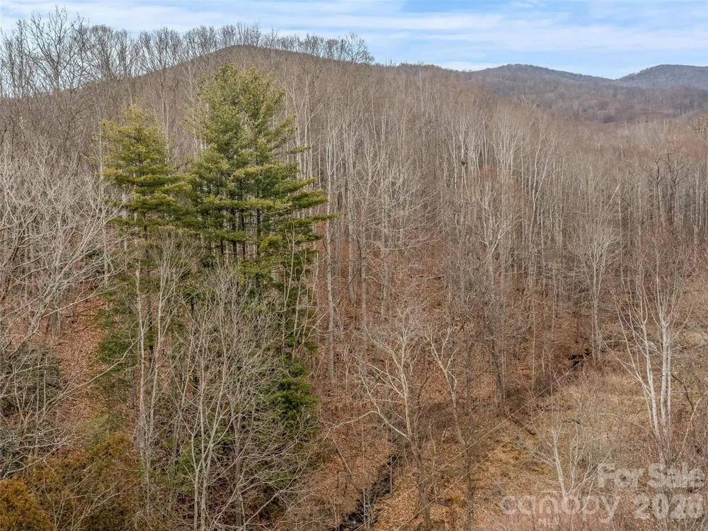 625 Cook Town Road Bakersville, NC 28705