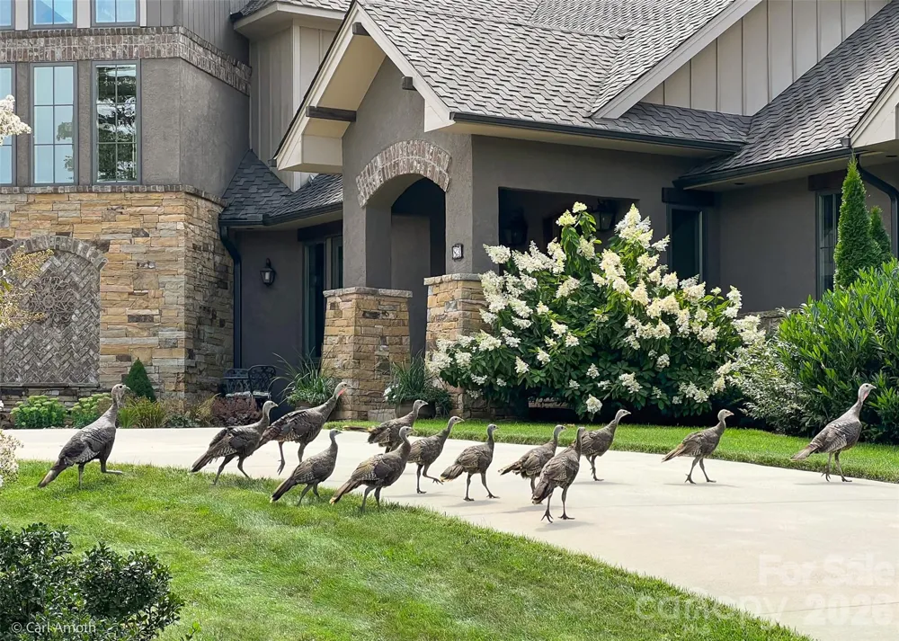 4642 Bearwallow Mountain Road #115 Hendersonville, NC 28792