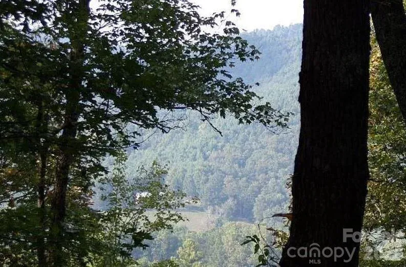 100 Black Bear Ridge Trail Zirconia, NC 28790