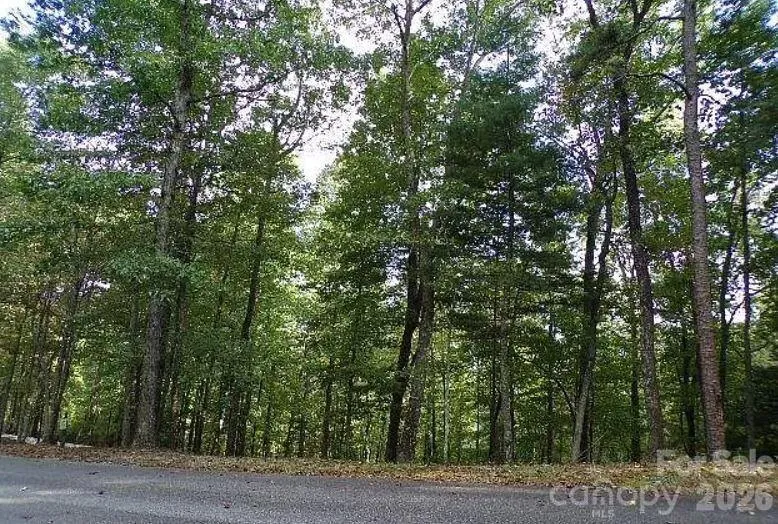 100 Black Bear Ridge Trail Zirconia, NC 28790