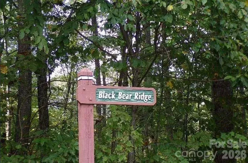 100 Black Bear Ridge Trail Zirconia, NC 28790