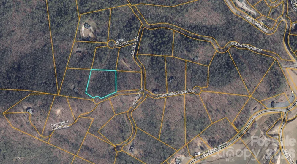 100 Black Bear Ridge Trail Zirconia, NC 28790