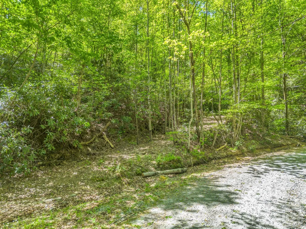 00 Lakeview Drive #414/415 Tryon, NC 28782
