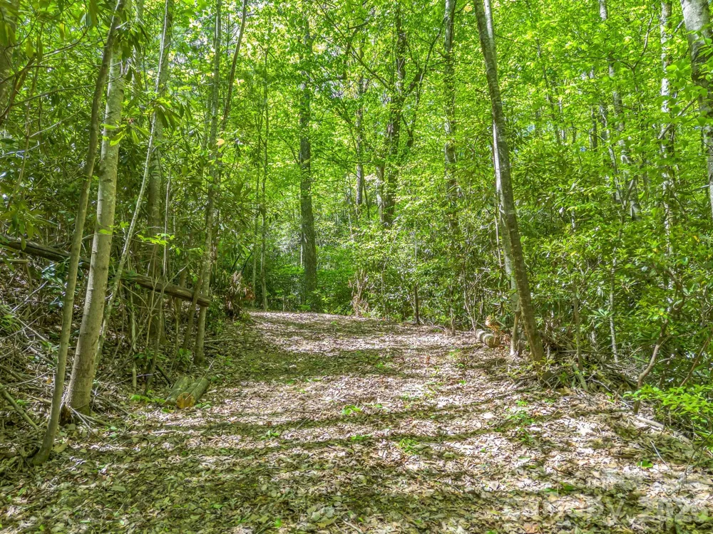 00 Lakeview Drive #414/415 Tryon, NC 28782