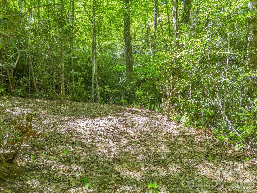 00 Lakeview Drive #414/415 Tryon, NC 28782