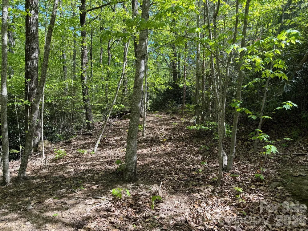 00 Lakeview Drive #414/415 Tryon, NC 28782
