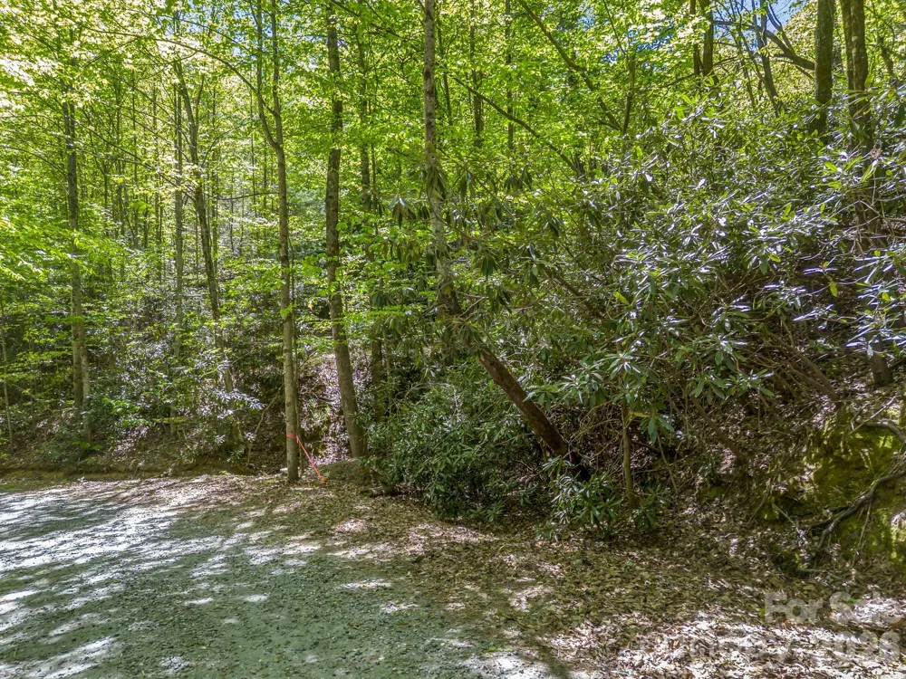 00 Lakeview Drive #414/415 Tryon, NC 28782