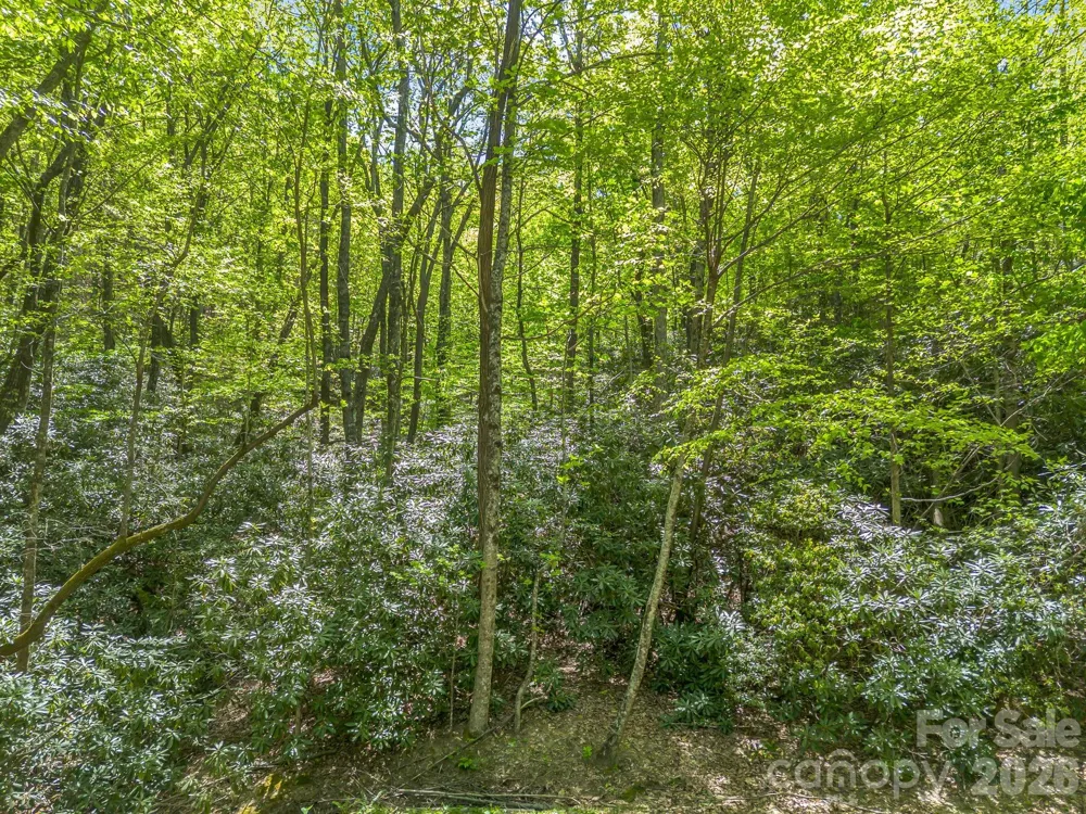 00 Lakeview Drive #414/415 Tryon, NC 28782