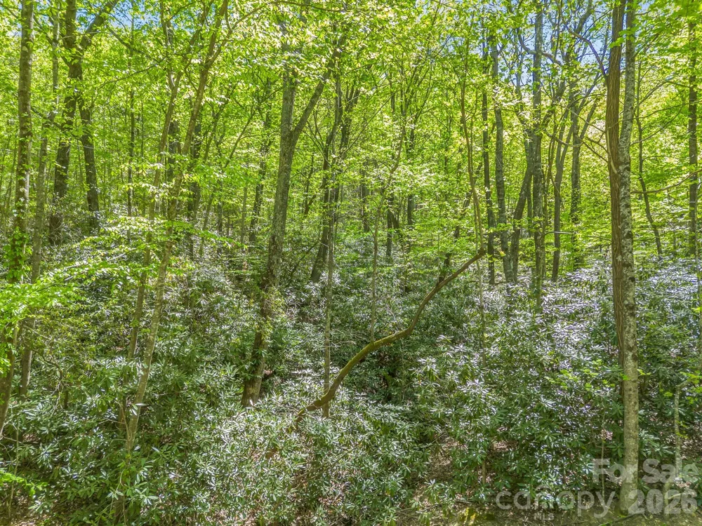 00 Lakeview Drive #414/415 Tryon, NC 28782