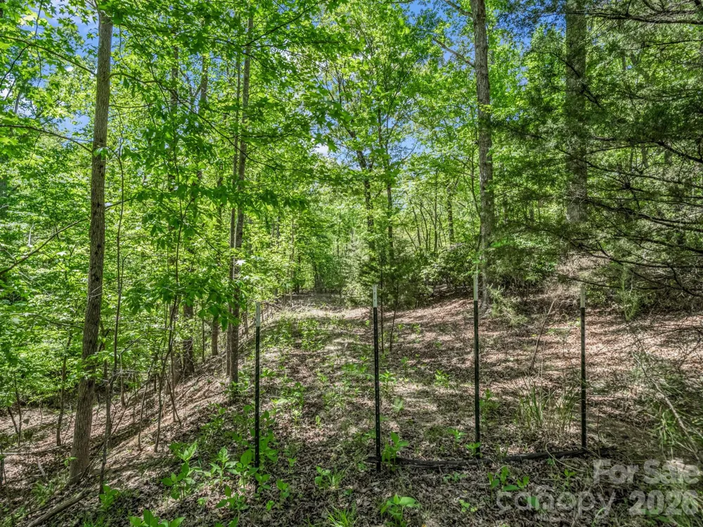 206 Westmoreland Trail #8 Tryon, NC 28782