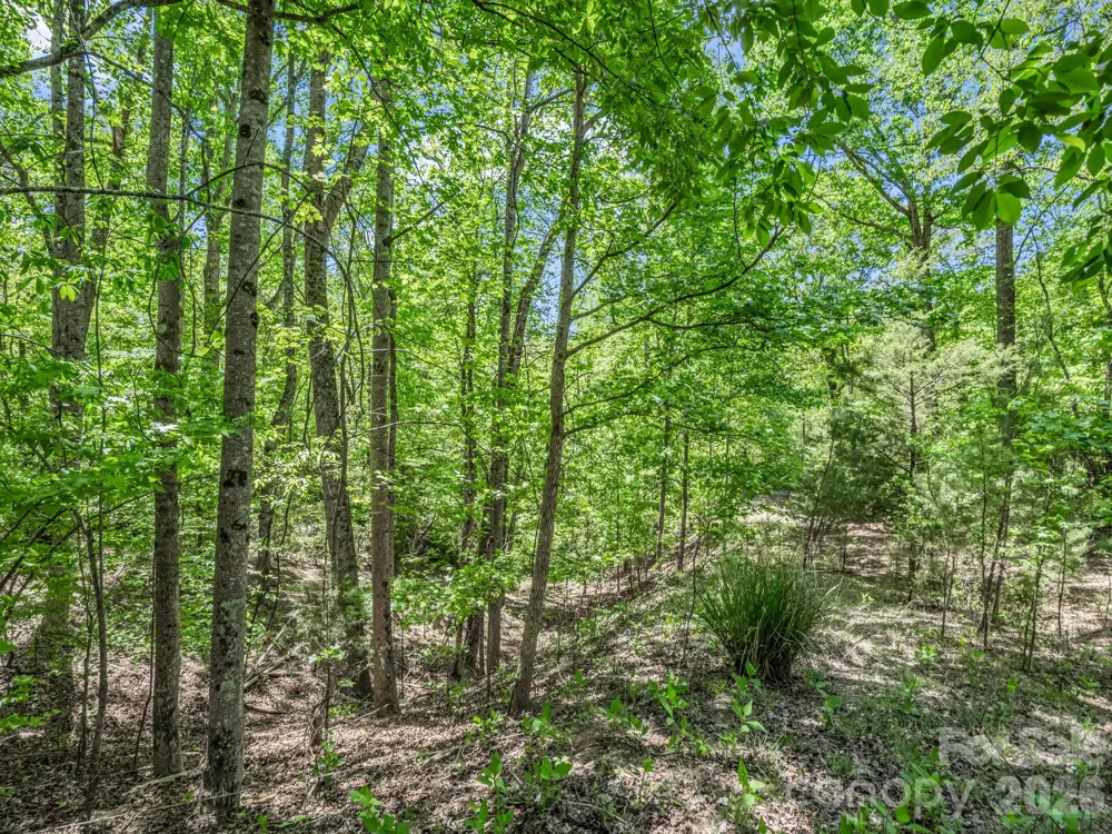 206 Westmoreland Trail #8 Tryon, NC 28782