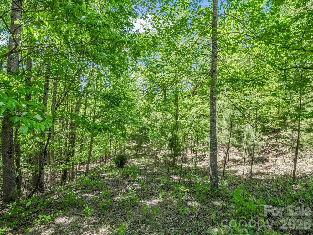 206 Westmoreland Trail #8 Tryon, NC 28782