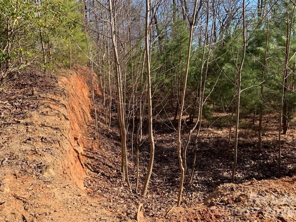 206 Westmoreland Trail #8 Tryon, NC 28782