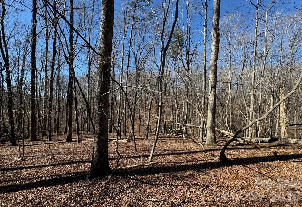 206 Westmoreland Trail #8 Tryon, NC 28782