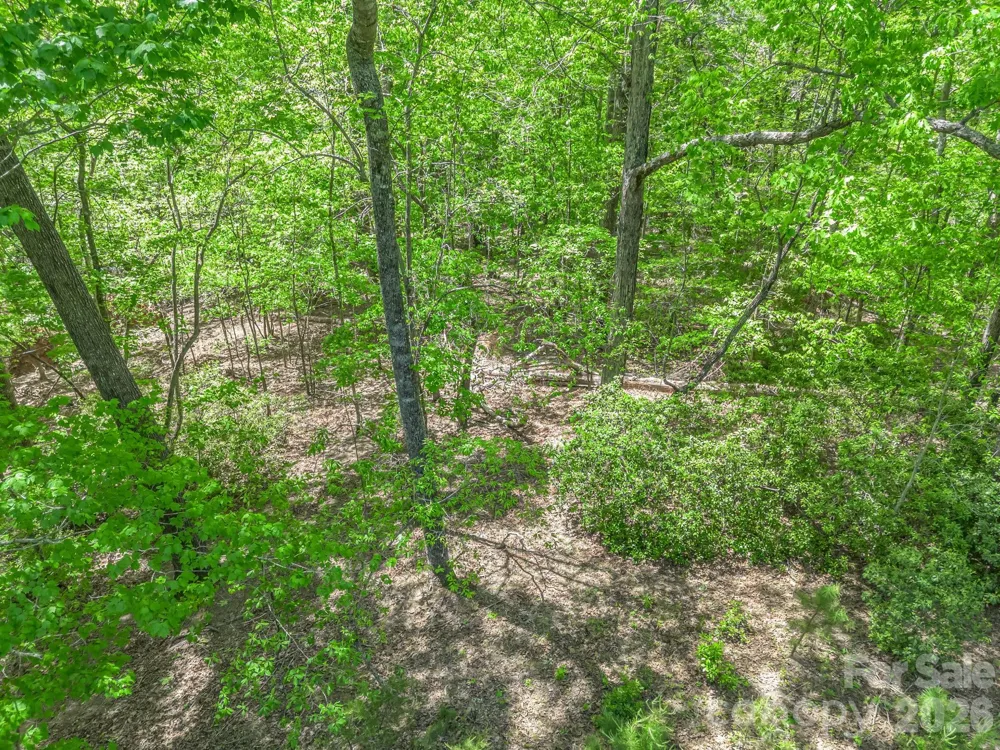 206 Westmoreland Trail #8 Tryon, NC 28782