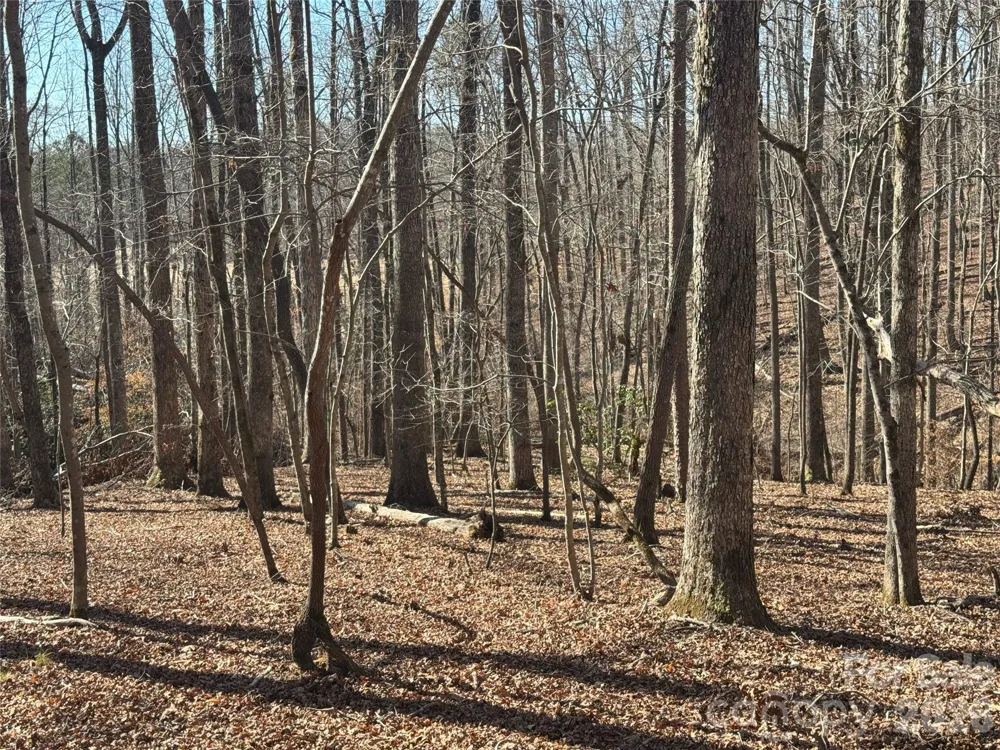 206 Westmoreland Trail #8 Tryon, NC 28782