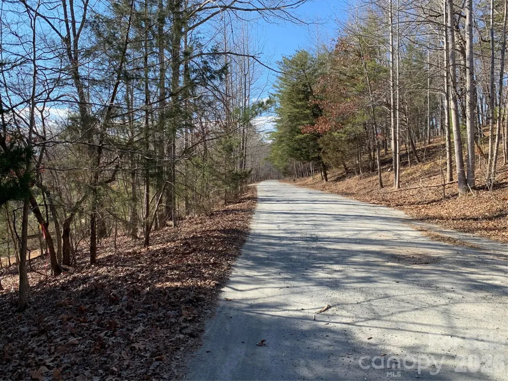 206 Westmoreland Trail #8 Tryon, NC 28782